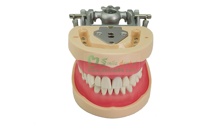 TM-A10 Standard Model1